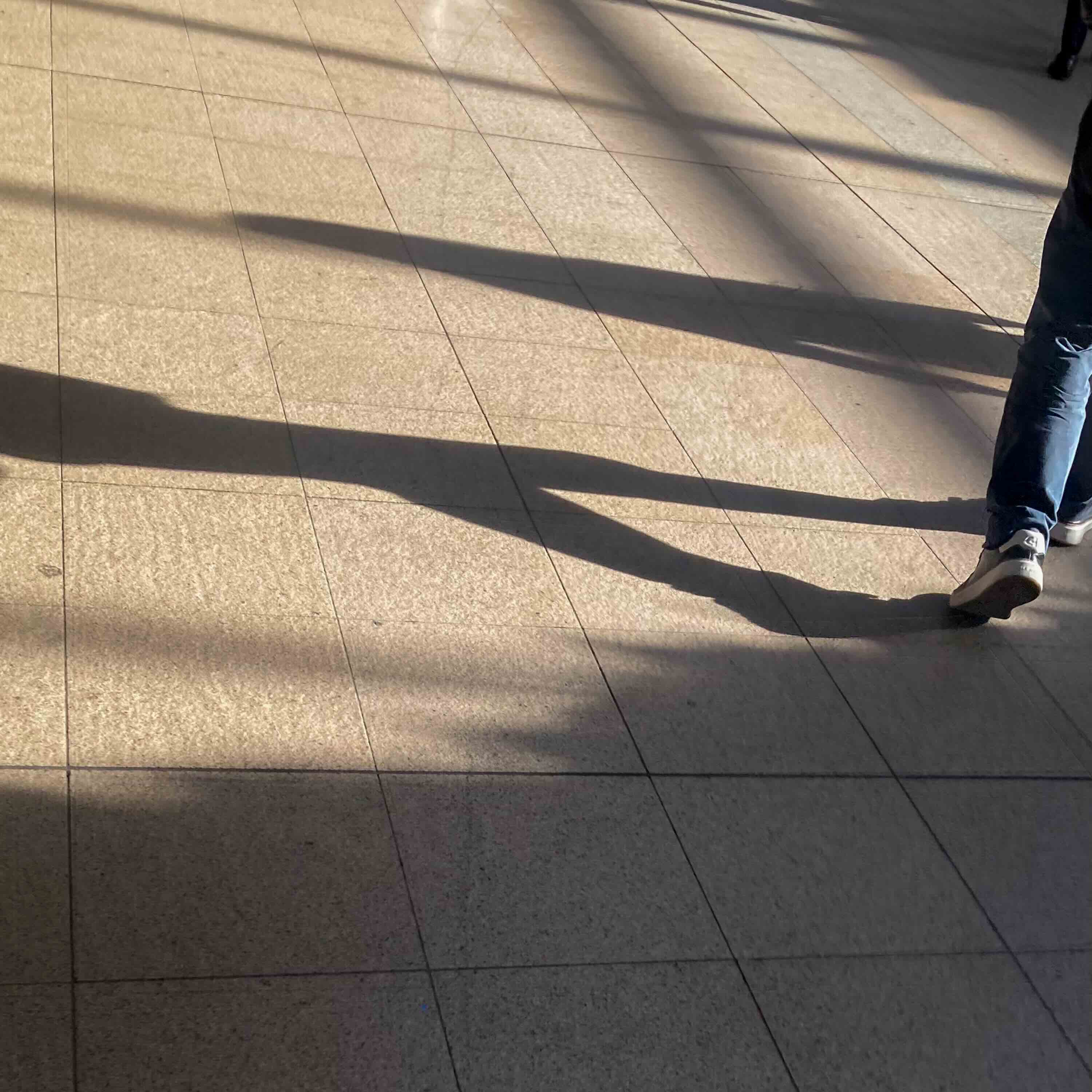 待ち合わせて／光の多い道を